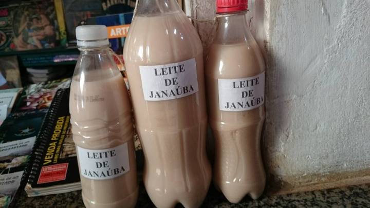 13327392_10153465355322237_1684637665662102976_n