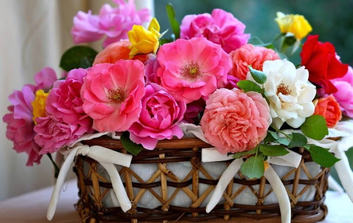 flores-lindas-wallpaper